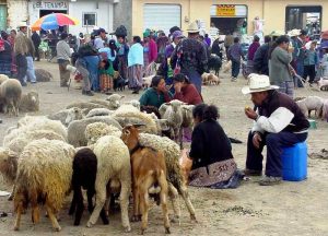 People in the maket of San Francisco El Alto hearing the Gospel through local radio stations